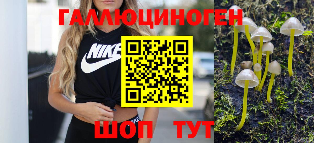 Галлюциногенные грибы Psilocybe  Вход с VPN  где найти   Советск 